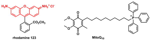 Fig. 39