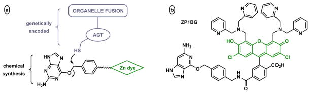 Fig. 44