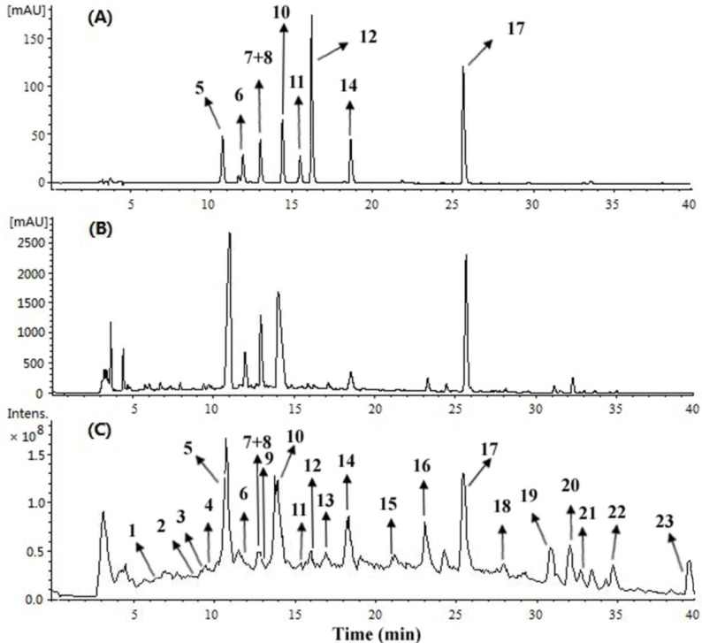 Figure 3