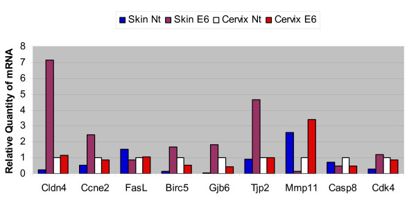 Figure 5