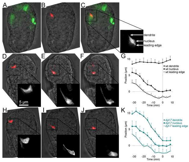 FIGURE 3