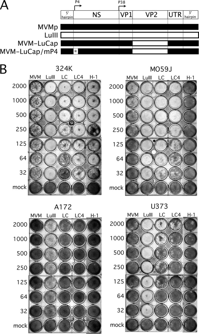 Fig 4