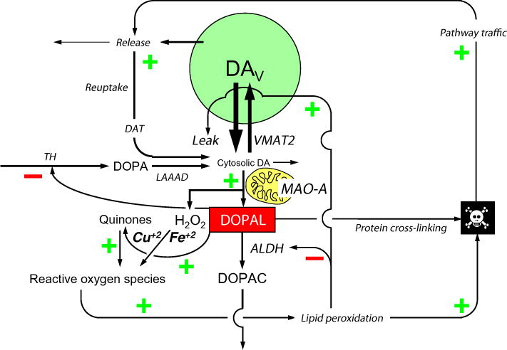 Fig. 1