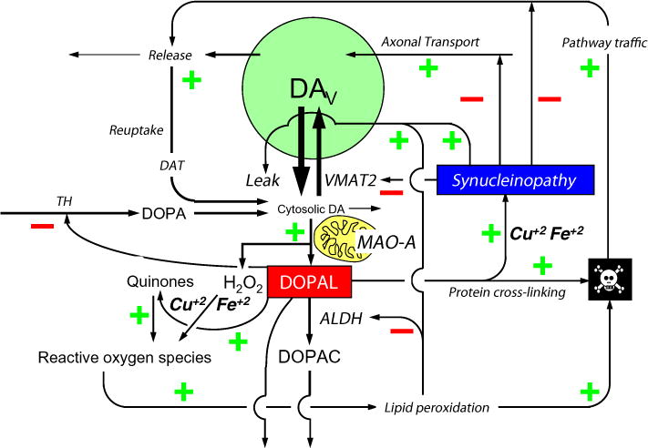 Fig. 2