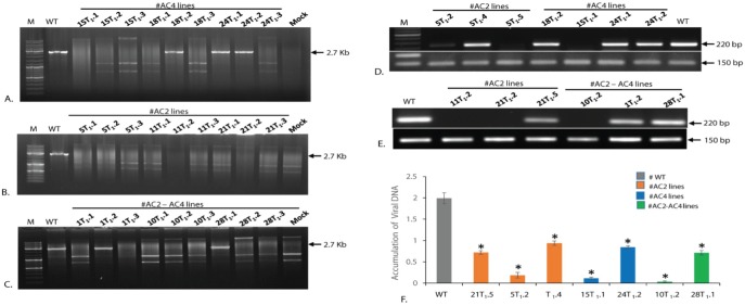 Fig 8