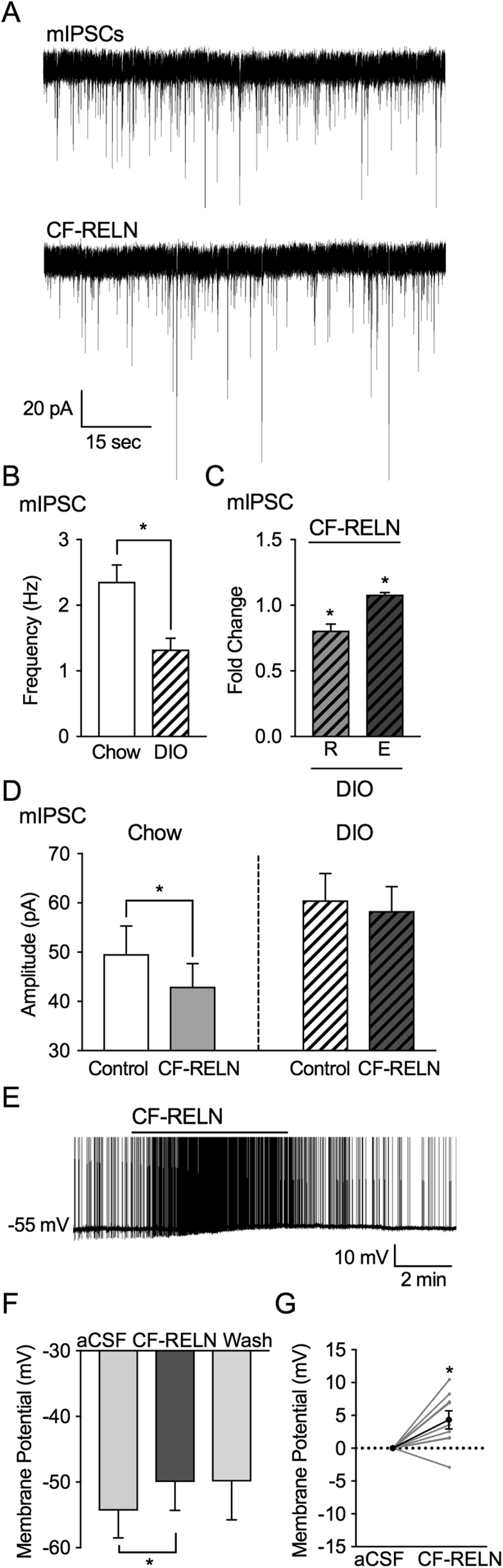 Figure 7