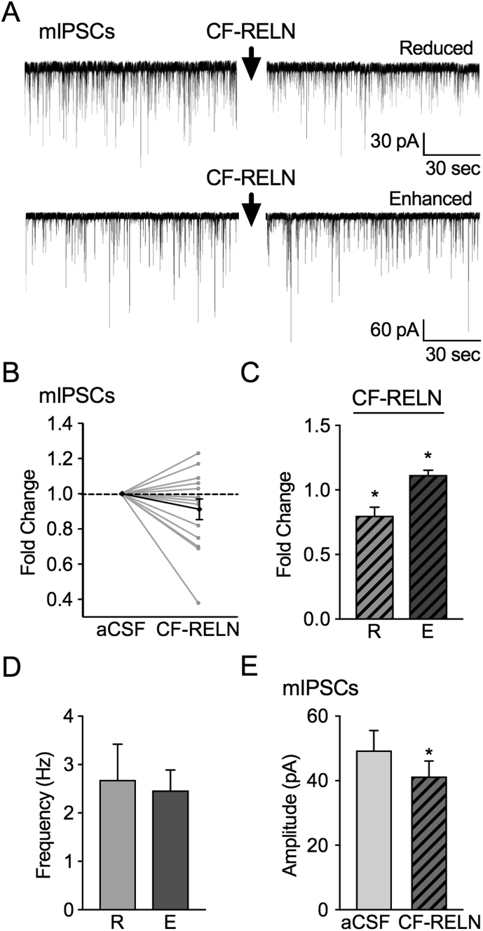 Figure 5