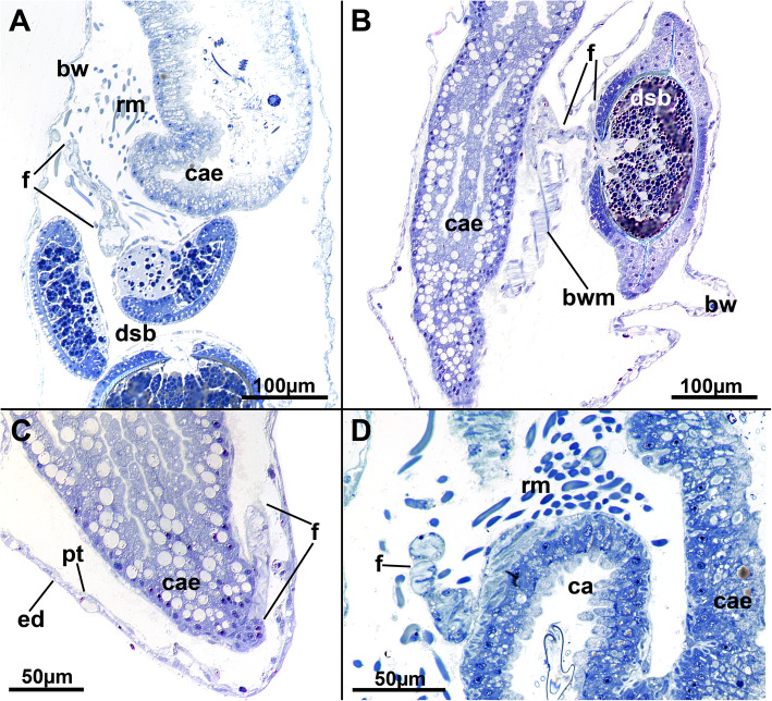 Fig. 13