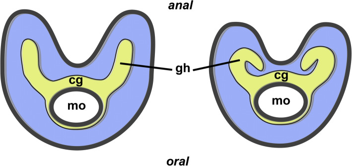 Fig. 17