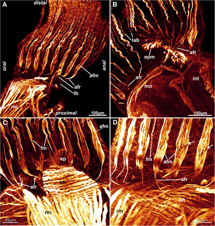 Fig. 15