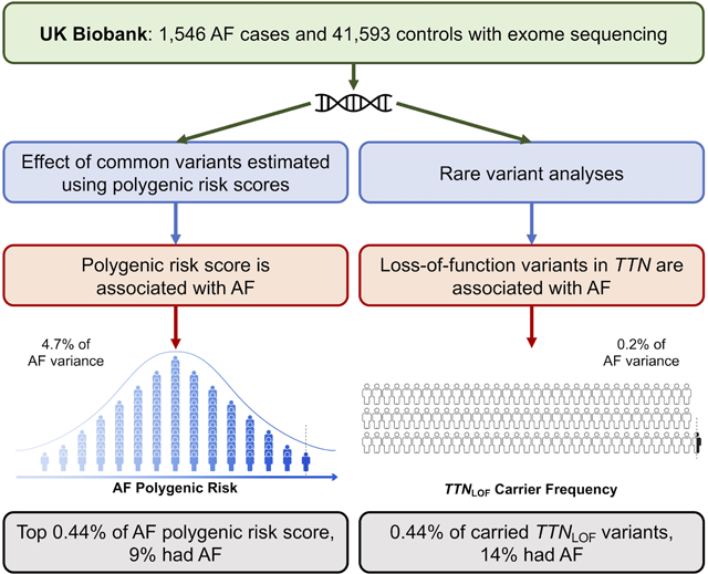 graphic file with name nihms-1549115-f0001.jpg