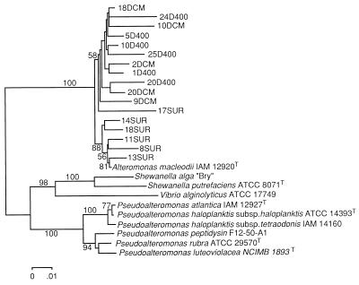 FIG. 3