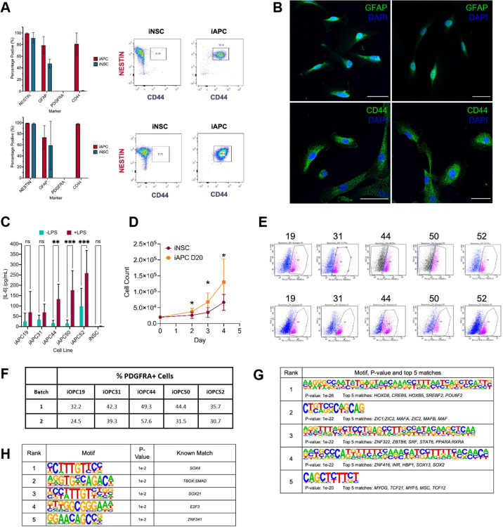 Figure 2—figure supplement 1.