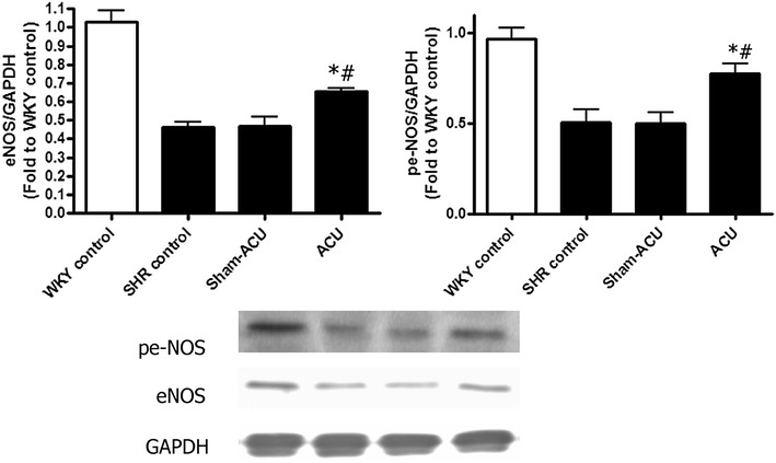 Fig. 4