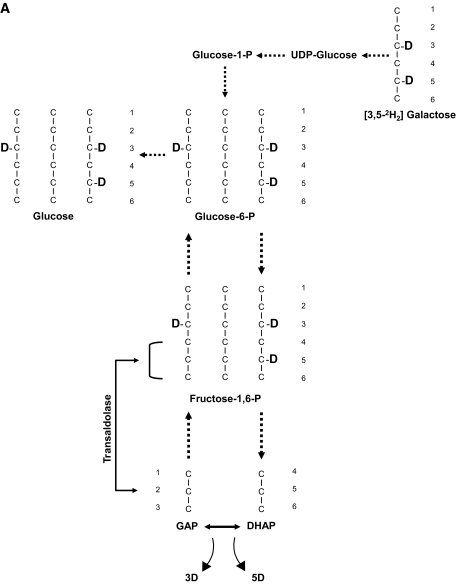 FIG. 1.