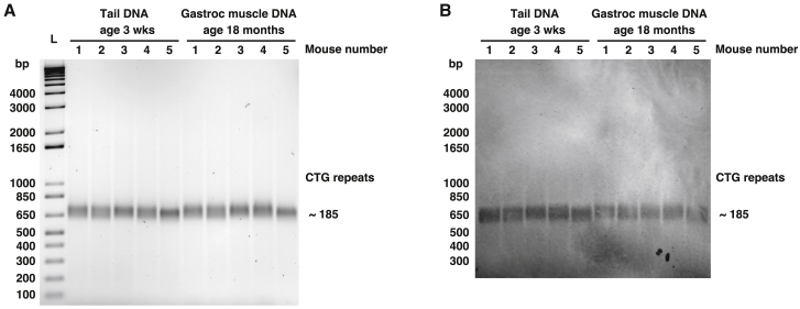 Figure 6