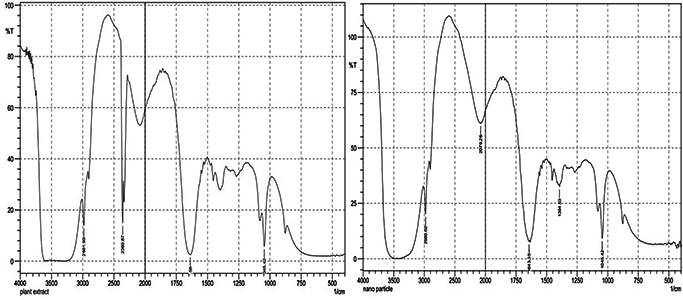 Fig. 8