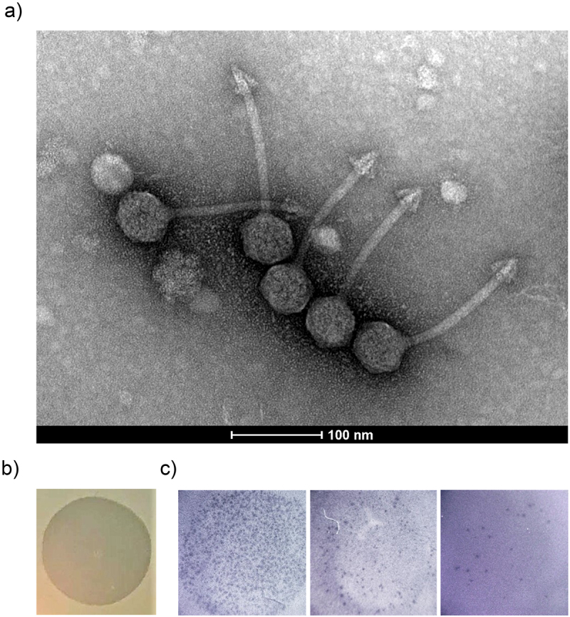 Figure 6.