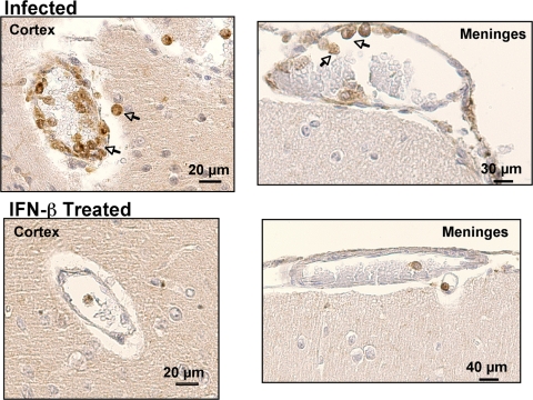 FIG. 7.