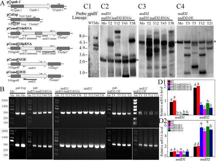 FIG 1