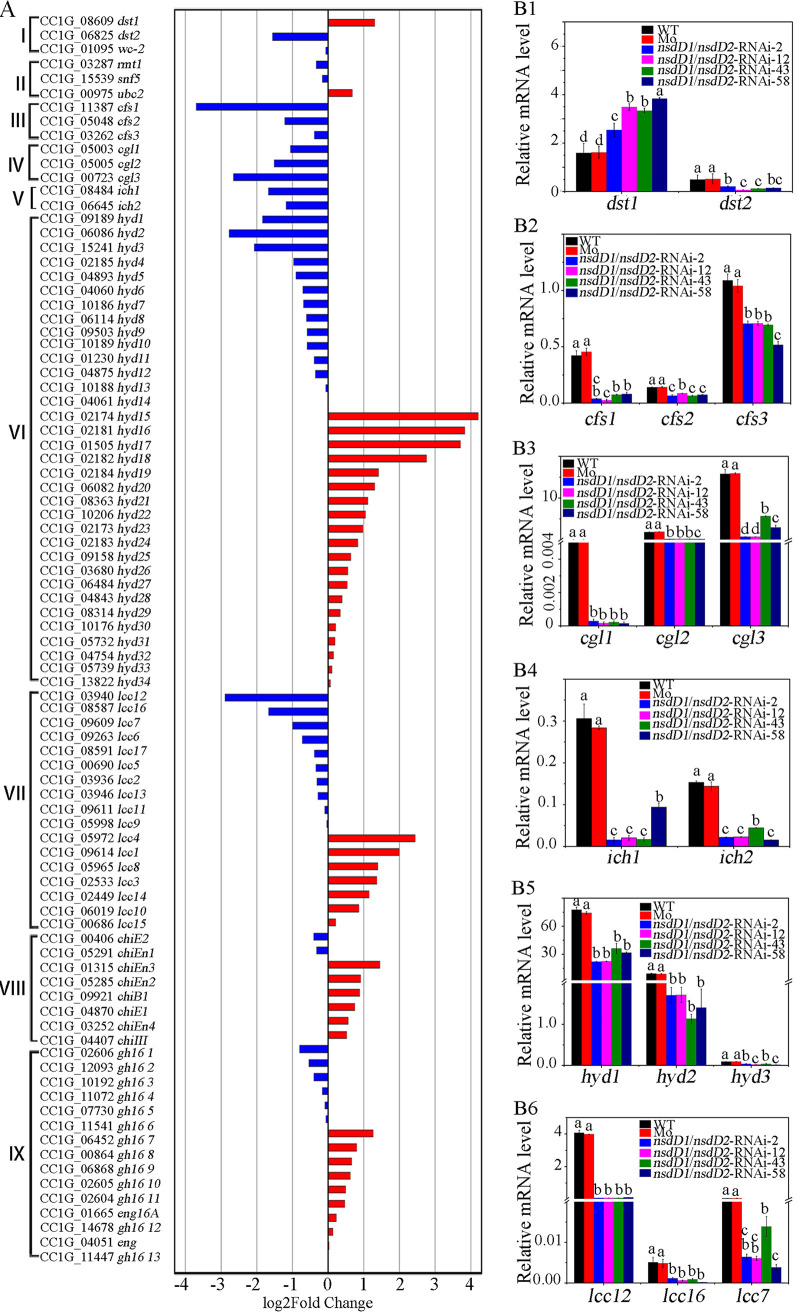 FIG 4