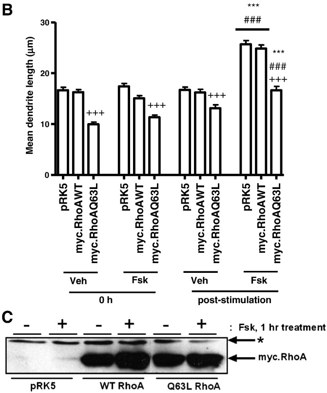 Fig. 5