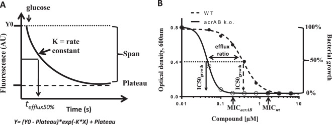 FIG 1