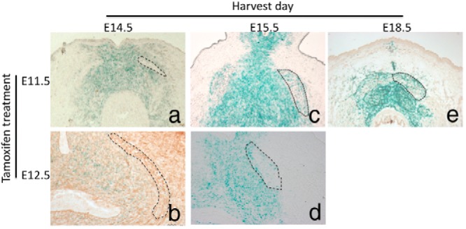 Figure 5.