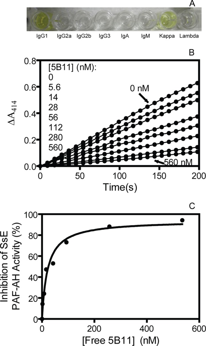 FIG 3