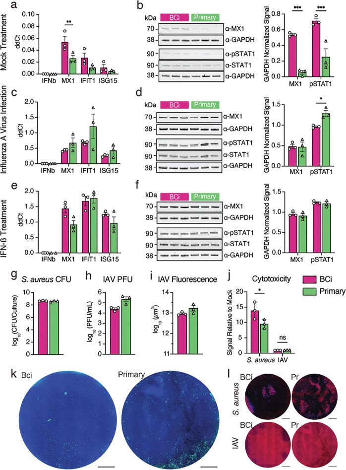 Fig. 4: