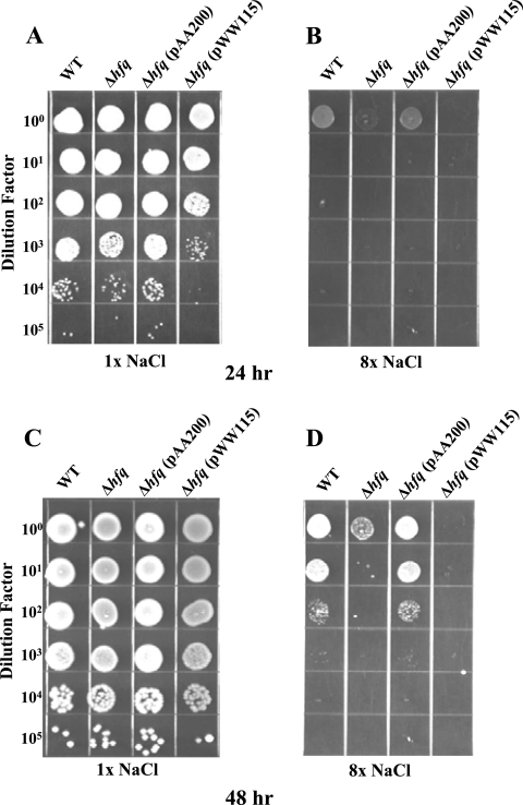 FIG. 6.