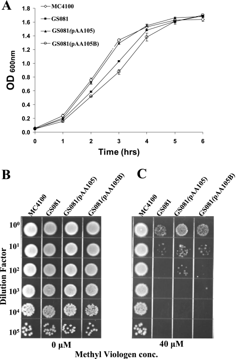 FIG. 9.