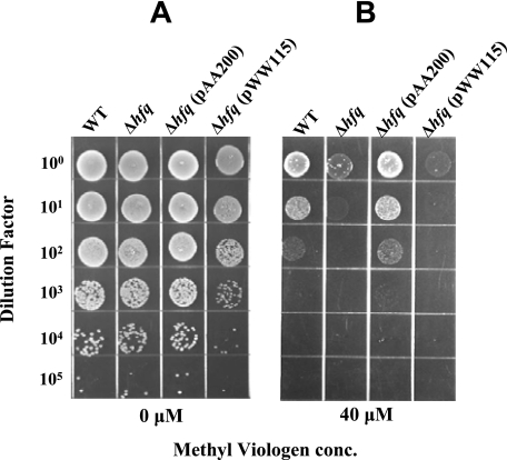 FIG. 5.