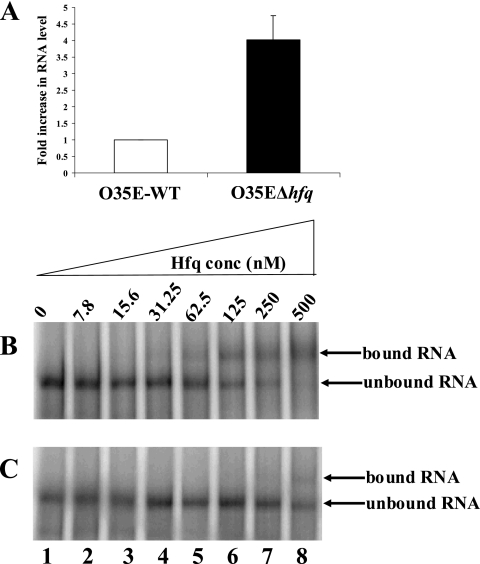 FIG. 10.