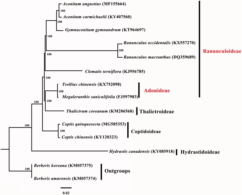 Figure 1.