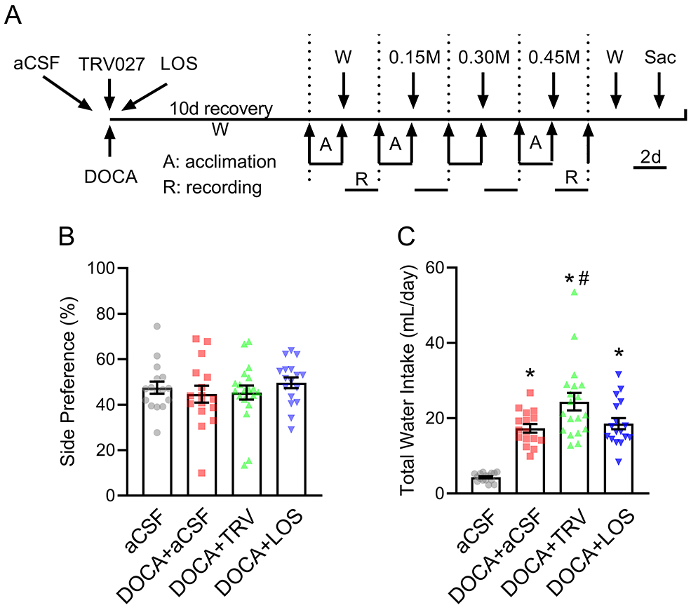 Figure 2: