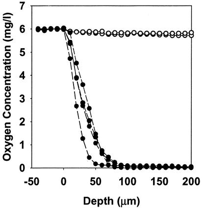 FIG. 5.