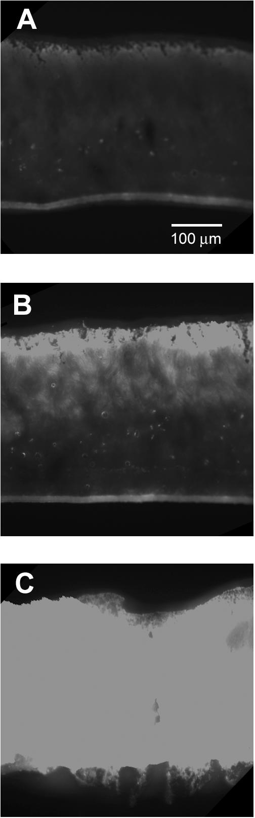 FIG. 6.