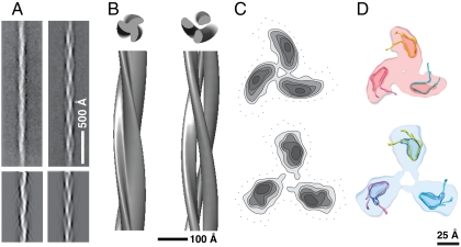 Fig. 5.