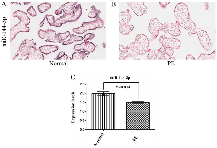 Figure 3.