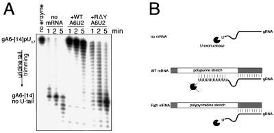 FIG. 6