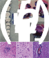 Fig. 2.