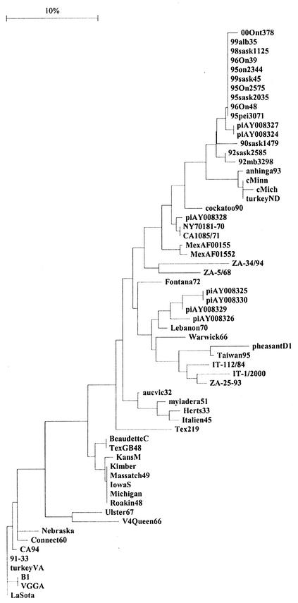 FIG. 2.