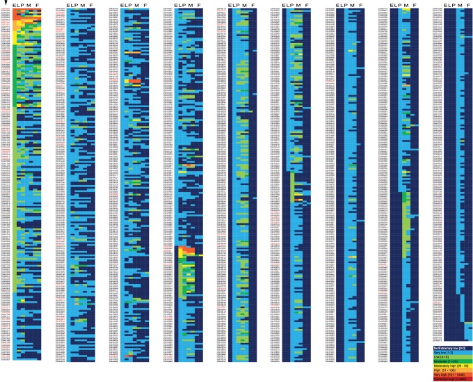 Figure 5.