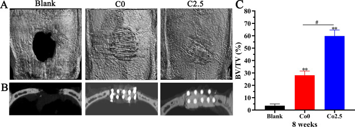 Fig. 8