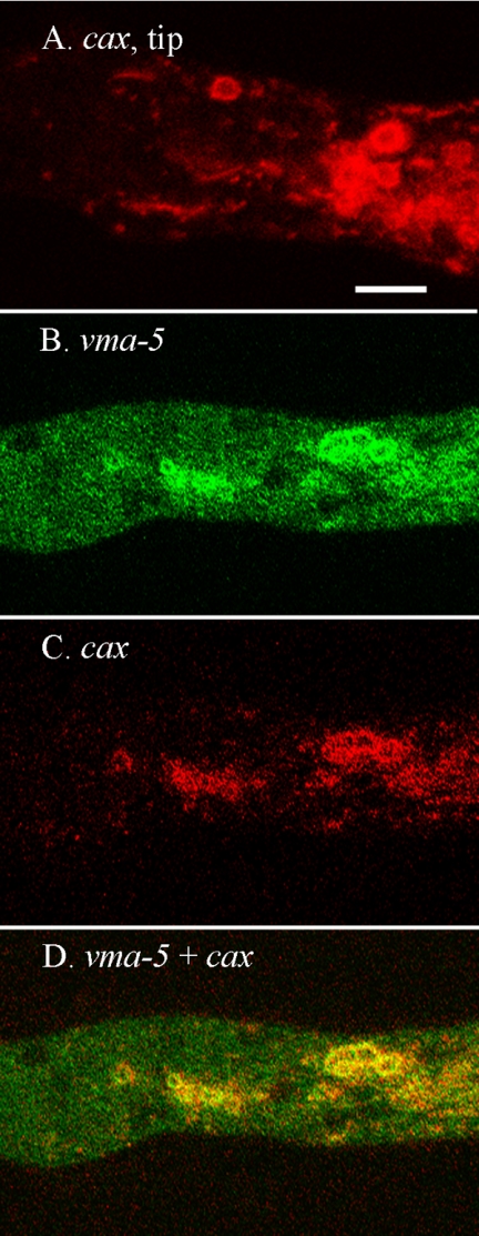 FIG. 7.