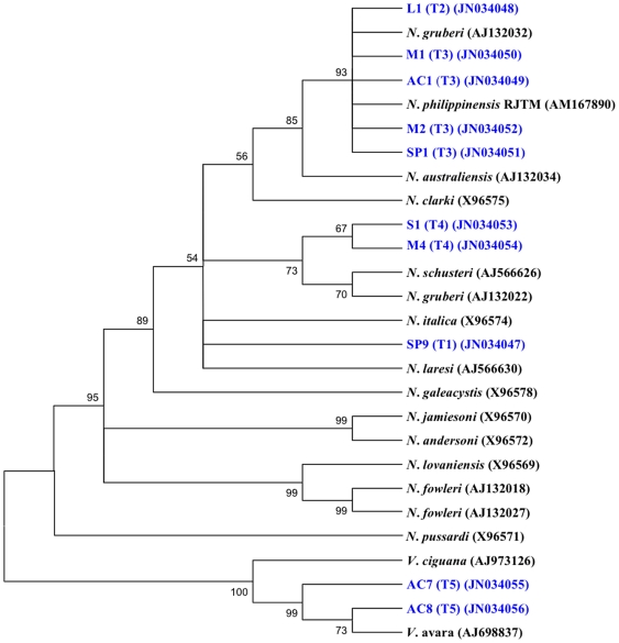 Figure 4