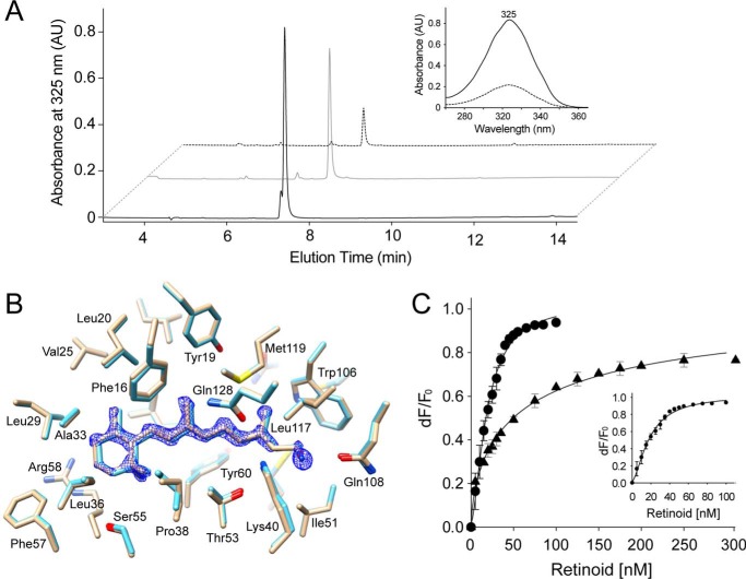 FIGURE 4.