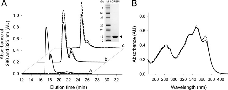 FIGURE 1.