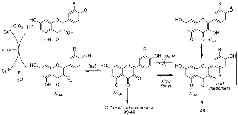 Scheme 6